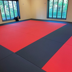 Reparatie vloer en nieuwe tatami 2025